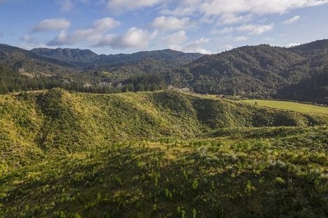 Photo of property in 1870 The 309 Road, Kaimarama, Whitianga, 3591