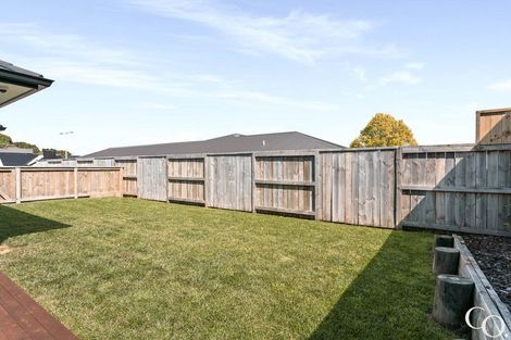 Photo of property in 3 Flounder Drive, Omokoroa, 3114