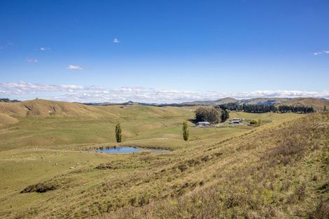 Photo of property in 300 Pattison Road, Akina, Hastings, 4122