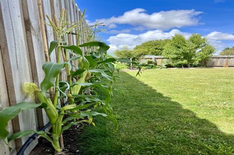 Photo of property in 19 Normanby Street, Rakaia, 7710