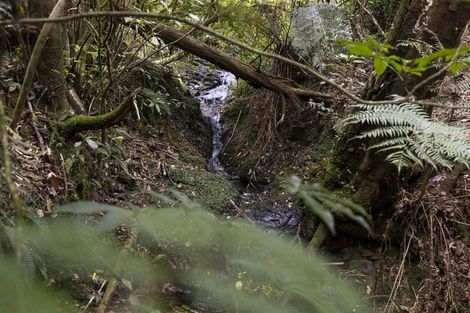 Photo of property in 920 Wakamarina Road, Wakamarina, Havelock, 7178