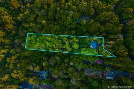 Photo of property in 23 Kauri Loop Road, Oratia, Auckland, 0604