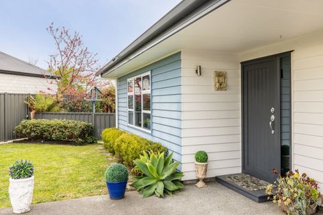 Photo of property in 36a Te Aute Road, Havelock North, 4130