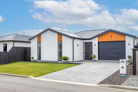 Photo of property in 12 Pakohe Street, Pegasus, 7612