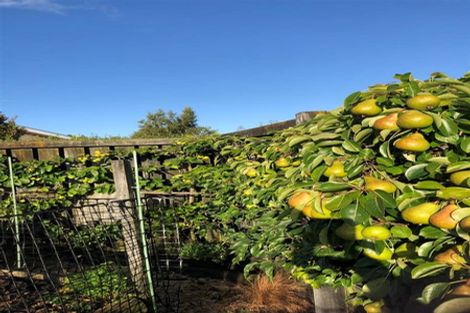 Photo of property in 24 Barton Street, Marton, 4710