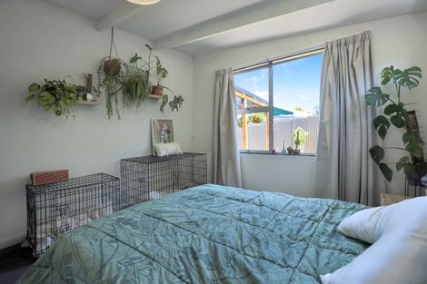 Photo of property in 231 Dobson Street, Hampstead, Ashburton, 7700