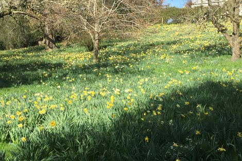 Photo of property in Belvoir House, 169 Mcnamaras Road, Waimate, 7979