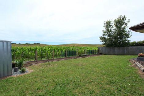 Photo of property in 24 Breaker Grove, Waiuku, 2123