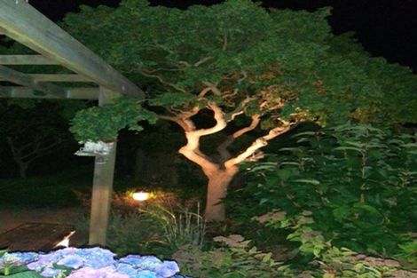 Photo of property in 18 Elgin Street, Normanby, Timaru, 7971