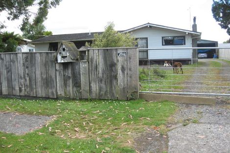 Photo of property in 11 Pitt Street, Raetihi, 4632