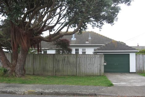 Photo of property in 41 Thornycroft Avenue, Epuni, Lower Hutt, 5011