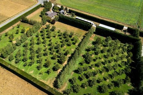 Photo of property in 556 Steffens Road, Starvation Hill, Oxford, 7495