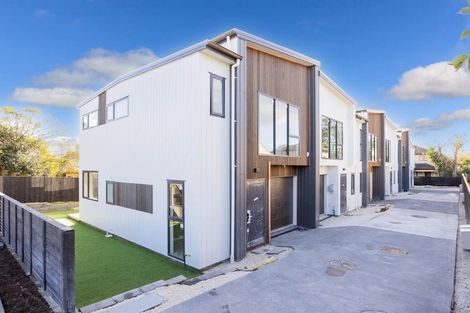 Photo of property in 21a Hazel Avenue, Mount Roskill, Auckland, 1041