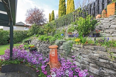 Photo of property in 19 Muritai Crescent, Havelock North, 4130