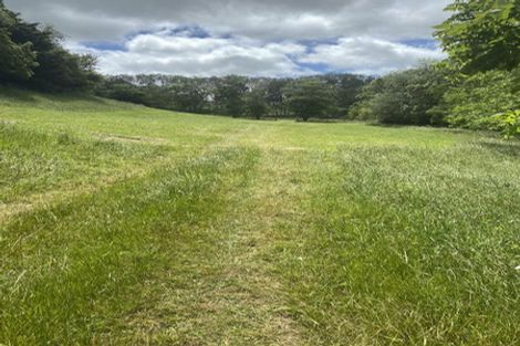 Photo of property in 397 Grove Road, Te Pahu, Hamilton, 3285