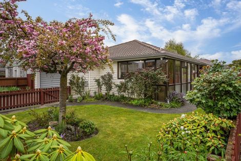 Photo of property in 201 King Street, Rangiora, 7400