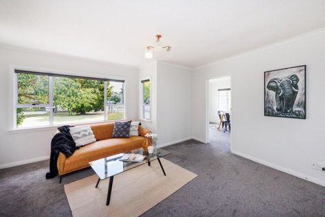 Photo of property in 20 Liverpool Street, Takaro, Palmerston North, 4412