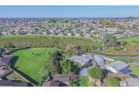 Photo of property in 21 Lachlan Place, Favona, Auckland, 2024