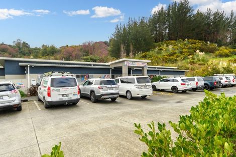 Photo of property in 22 Aubrey Way, Brookfield, Tauranga, 3110