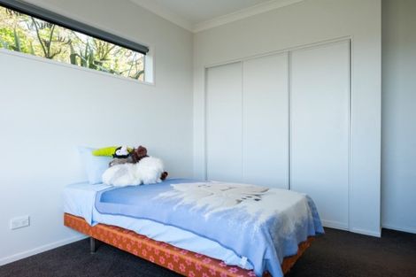 Photo of property in 13 Forfar Street, Clyde Hill, Dunedin, 9011