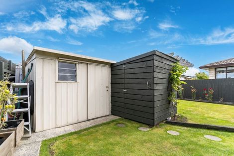 Photo of property in 122b Macandrew Road, South Dunedin, Dunedin, 9012