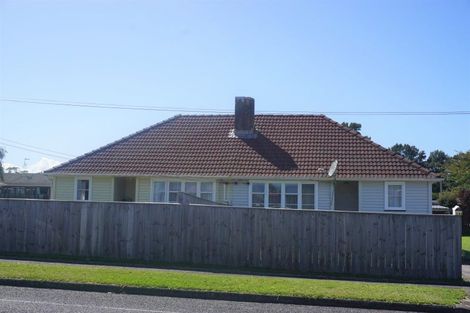 Photo of property in 132 Hakanoa Street, Huntly, 3700