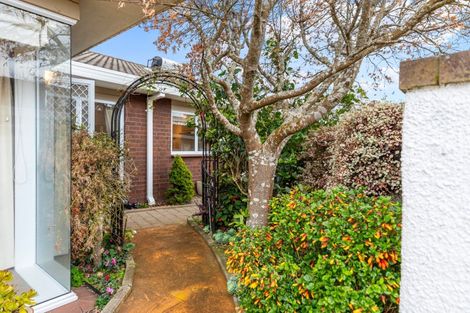 Photo of property in 124e Grace Road, Tauranga South, Tauranga, 3112