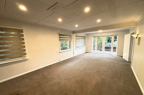 Photo of property in 15 Littlebourne Road, Roslyn, Dunedin, 9010