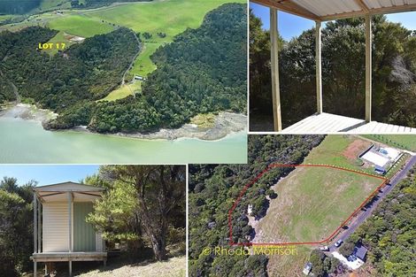 Photo of property in 17 Te Wairoa Lane, Tinopai, Matakohe, 0593