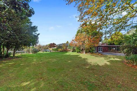 Photo of property in 8 James Street, Lincoln, 7608