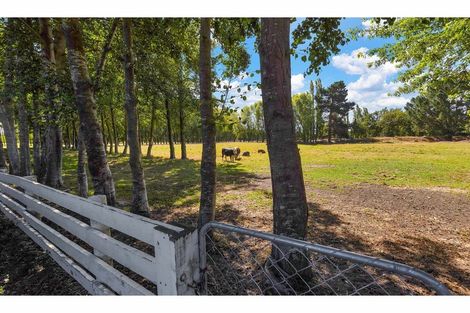 Photo of property in 5 Glengarry Lane, Kaiapoi, 7691