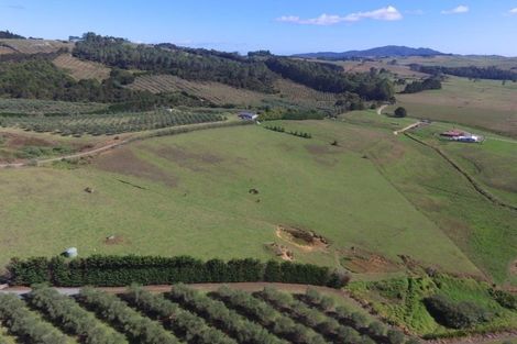 Photo of property in 90d Leccino Valley Road, Mangonui, 0494