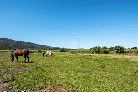Photo of property in 113 Rarangi Road, Rarangi, Blenheim, 7273