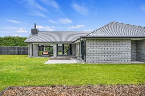 Photo of property in 9 Vaughan Street, Sefton, 7477