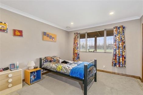 Photo of property in 133 Easterbrook Road, Fernside, Kaiapoi, 7691