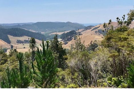 Photo of property in 388 Wentworth Valley Road, Whangamata, 3691