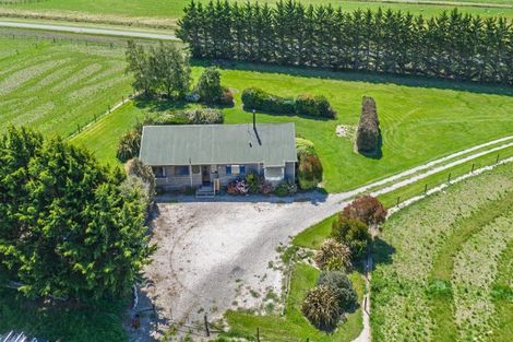 Photo of property in 36 Seddon Street, Ward, Seddon, 7285