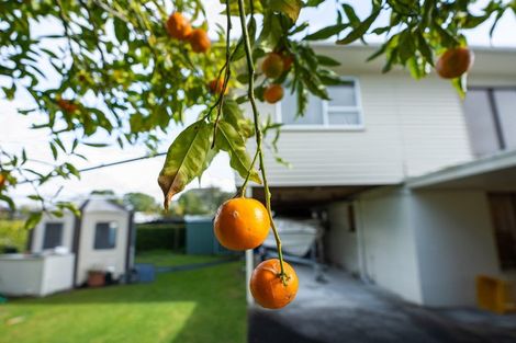 Photo of property in 74 Laurence Street, Manly, Whangaparaoa, 0930