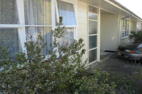Photo of property in 453 Ferguson Street, Palmerston North, 4410
