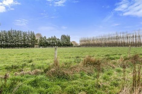 Photo of property in 133 Easterbrook Road, Fernside, Kaiapoi, 7691