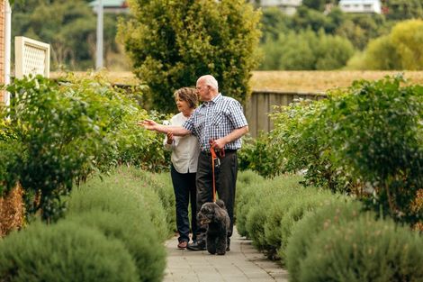 Photo of property in Shona Mcfarlane Village, 66 Mabey Road, Avalon, Lower Hutt, 5011