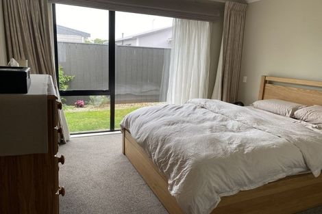 Photo of property in 26c Ward Street, Palmerston North, 4410
