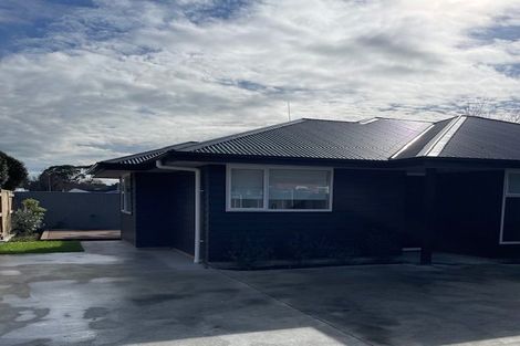 Photo of property in 117 Limbrick Street, Terrace End, Palmerston North, 4410