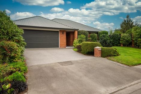 Photo of property in 203 White Street, Rangiora, 7400