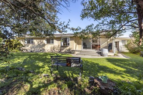 Photo of property in 3 Leefield Street, Blenheim, 7201