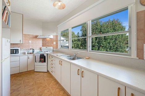 Photo of property in 19 Franklin Terrace, Havelock North, 4130