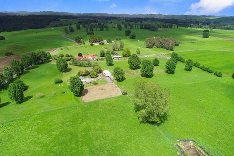 Photo of property in 267 Whakapapa Road, Kakahi, Owhango, 3989