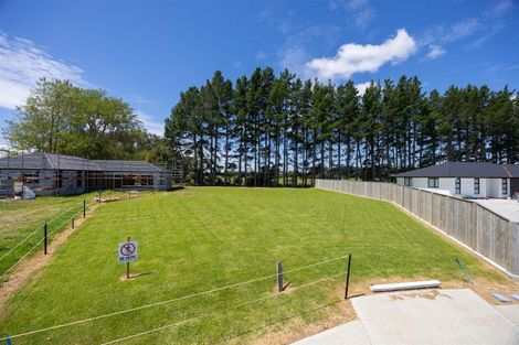 Photo of property in 20 Rayner Lane, Marton, 4710