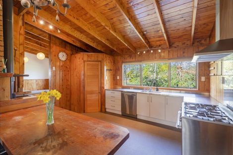 Photo of property in 117 Rimu Place, Matarangi, Whitianga, 3592