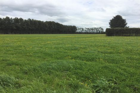 Photo of property in 773 Tauwhare Road, Tauwhare, Hamilton, 3287